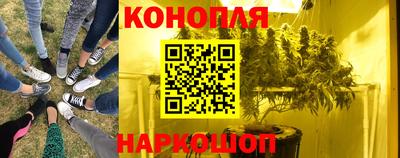 стаф Донецк