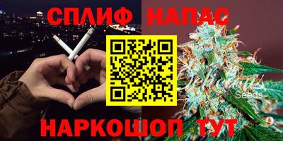 стаф Донецк