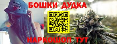 МДПВ Дубна