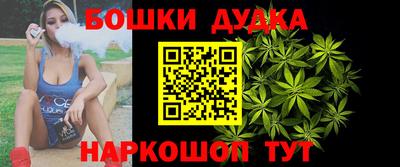 МДПВ Дубна