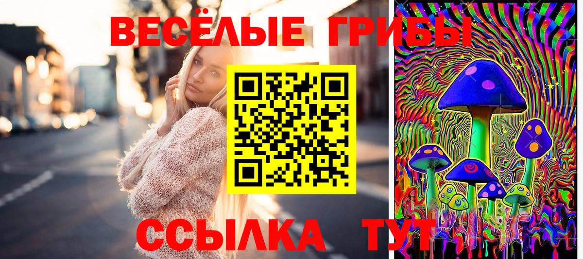 Псилоцибиновые грибы ЛСД  Вход с VPN  где найти наркотики  Галлюциногенные грибы Psilocybine cubensis  Луга 