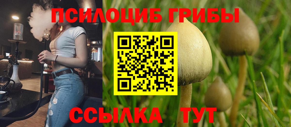 Псилоцибиновые грибы прущие грибы Луга